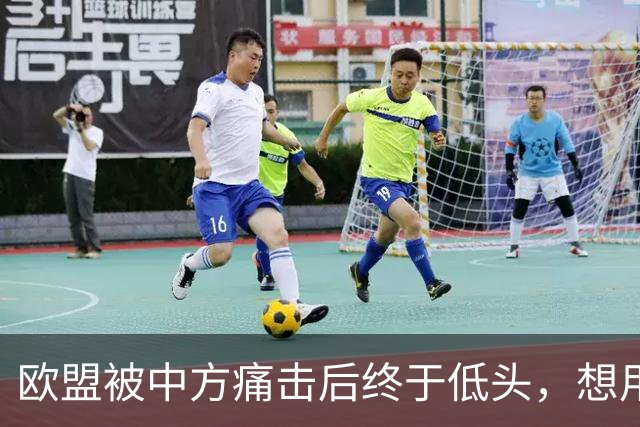 欧盟被中方痛击后终于低头，想用一换一来救阿斯麦供应商